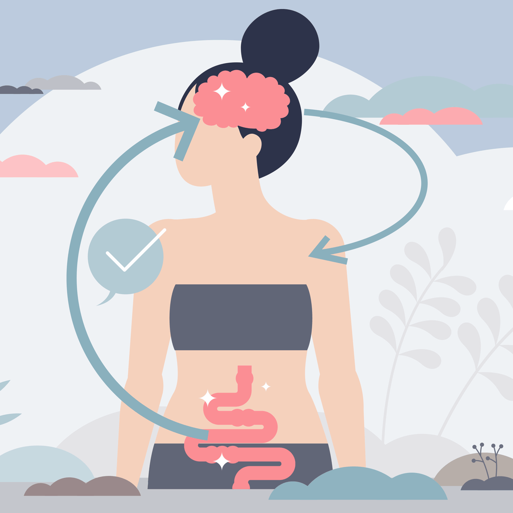 Mind Gut Skin Axis Illustration